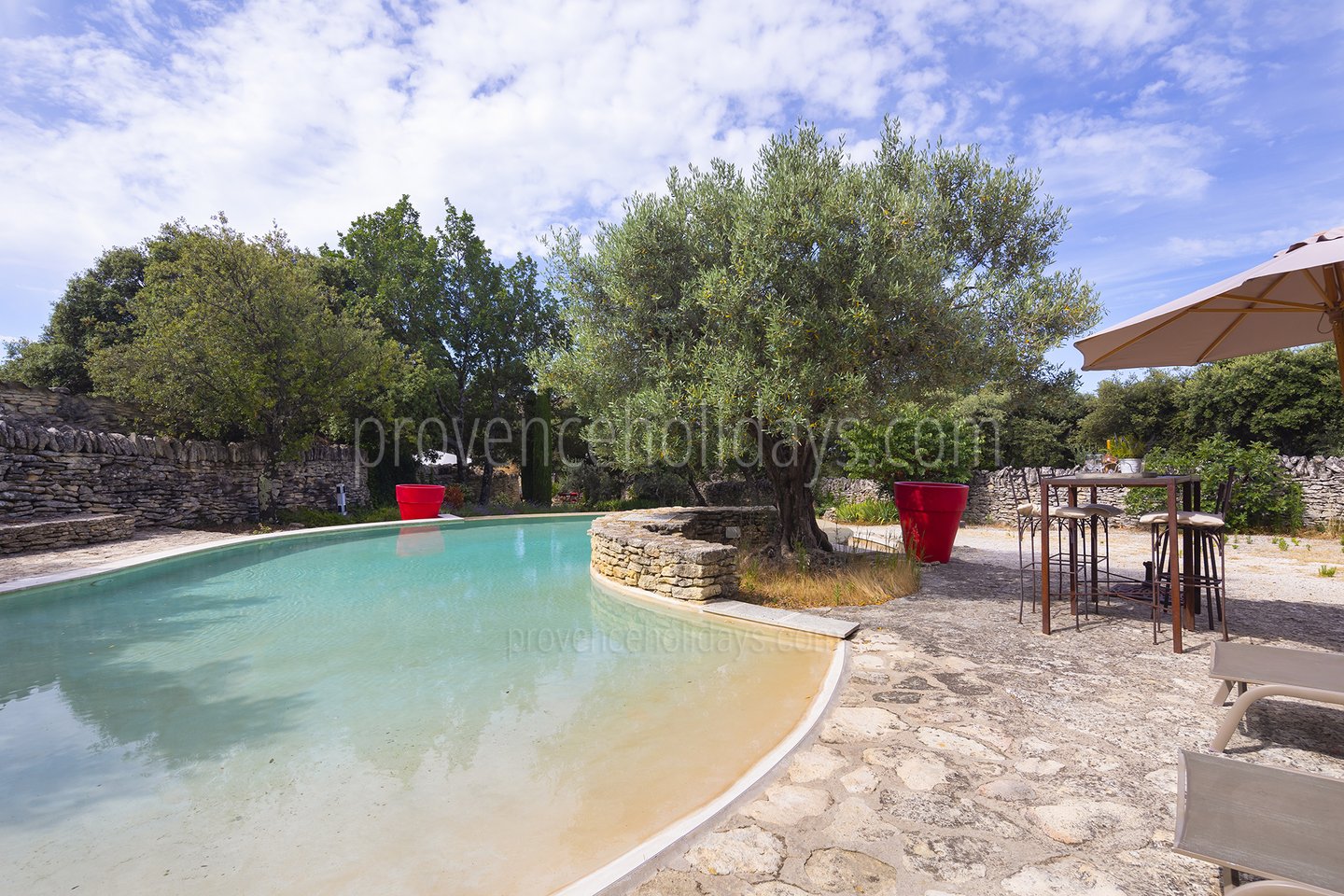 31 - La Garrigue: Villa: Pool