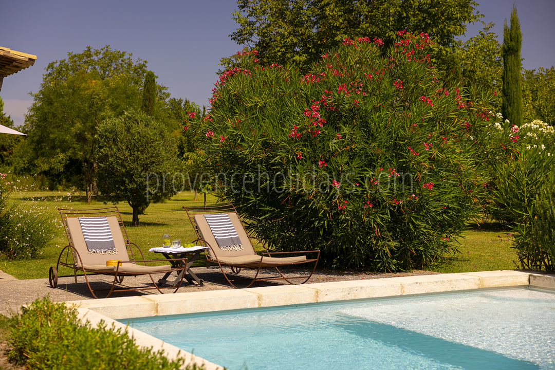 Classically inspired farmhouse between the Luberon and the Alpilles 5 - Mas Baroche: Villa: Pool