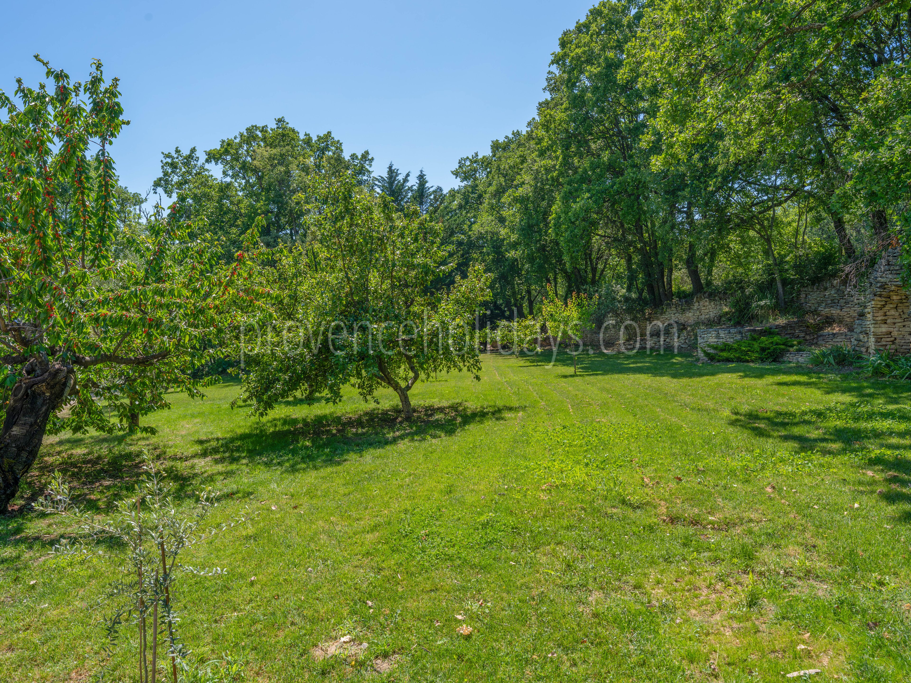 45 - Mas des Firmins: Villa: Exterior