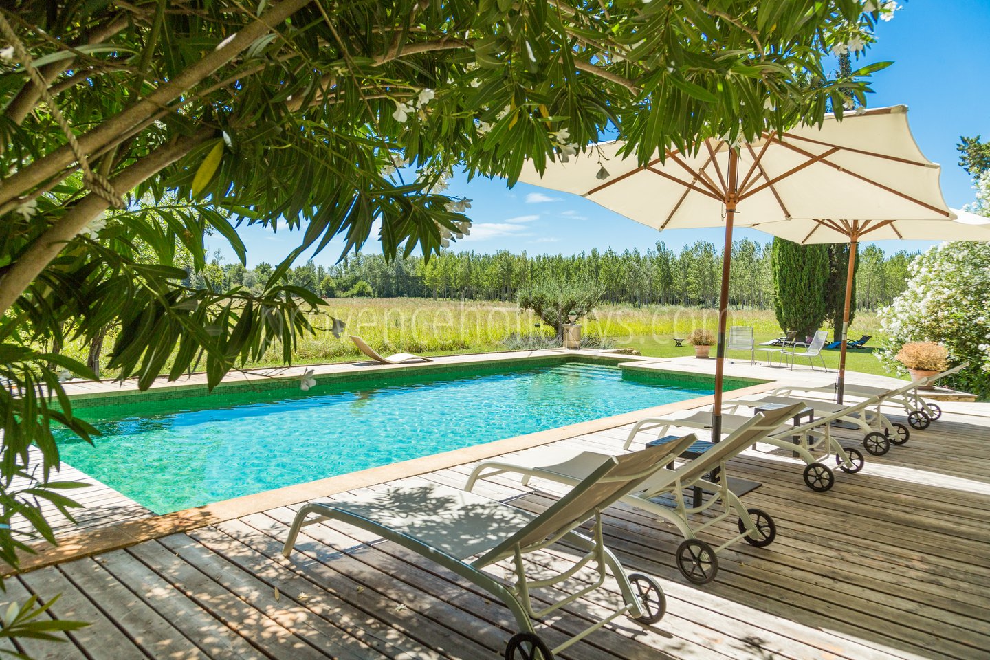 5 - Mas du Vaucluse: Villa: Pool
