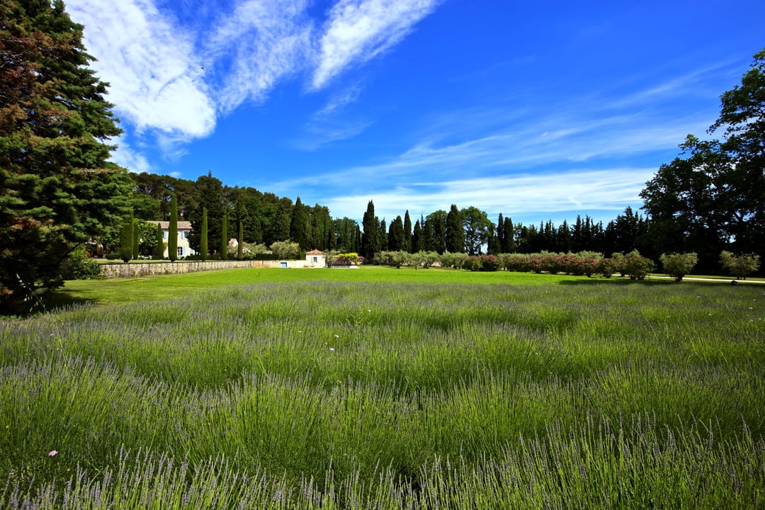 23 - Mas Provence: Villa: Exterior