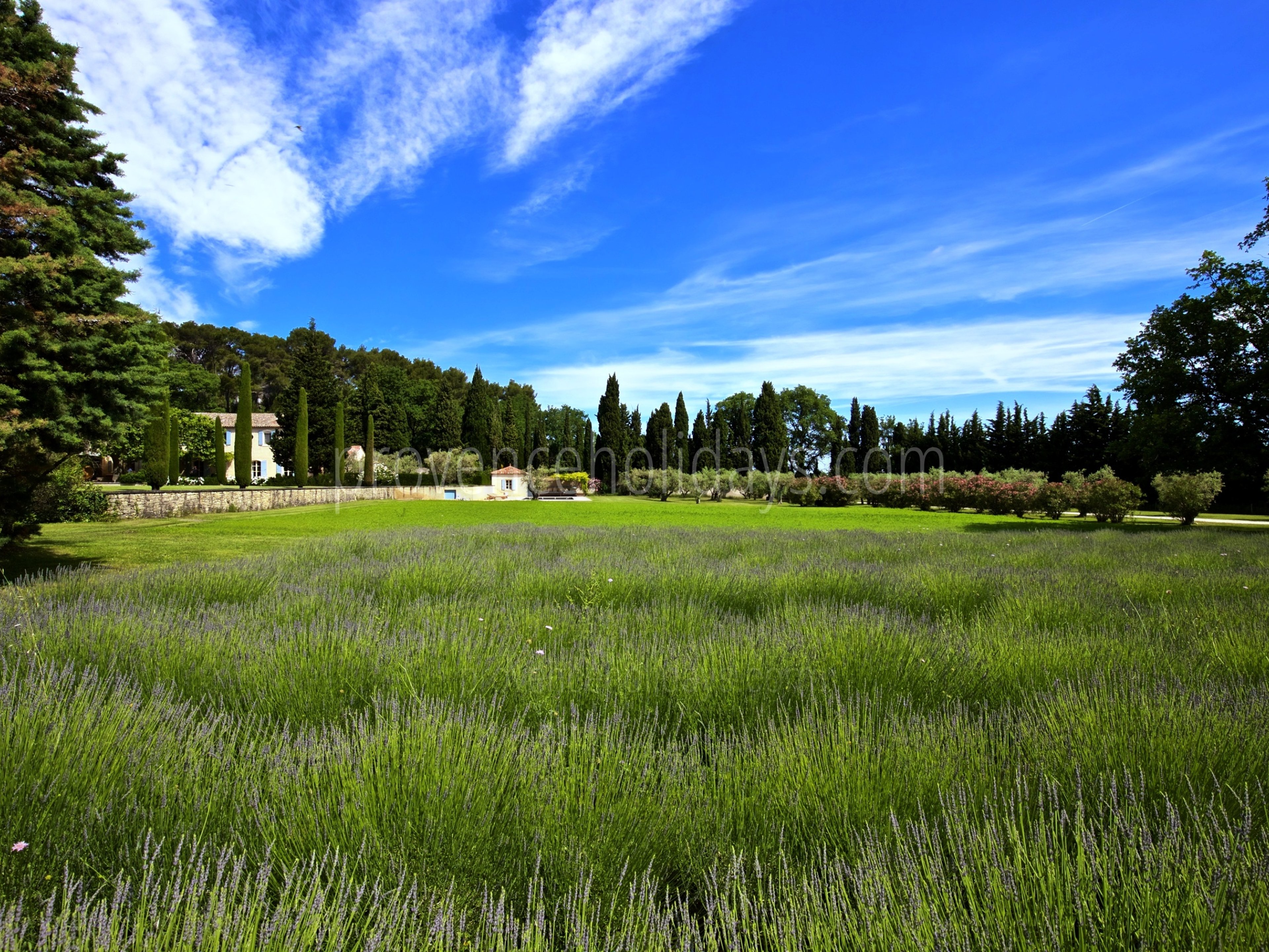 21 - Mas Provence: Villa: Exterior