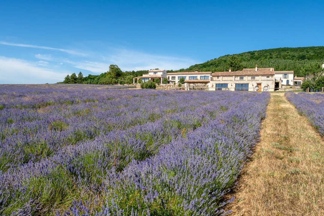 4 - Domaine Château du Bois: Villa: Exterior