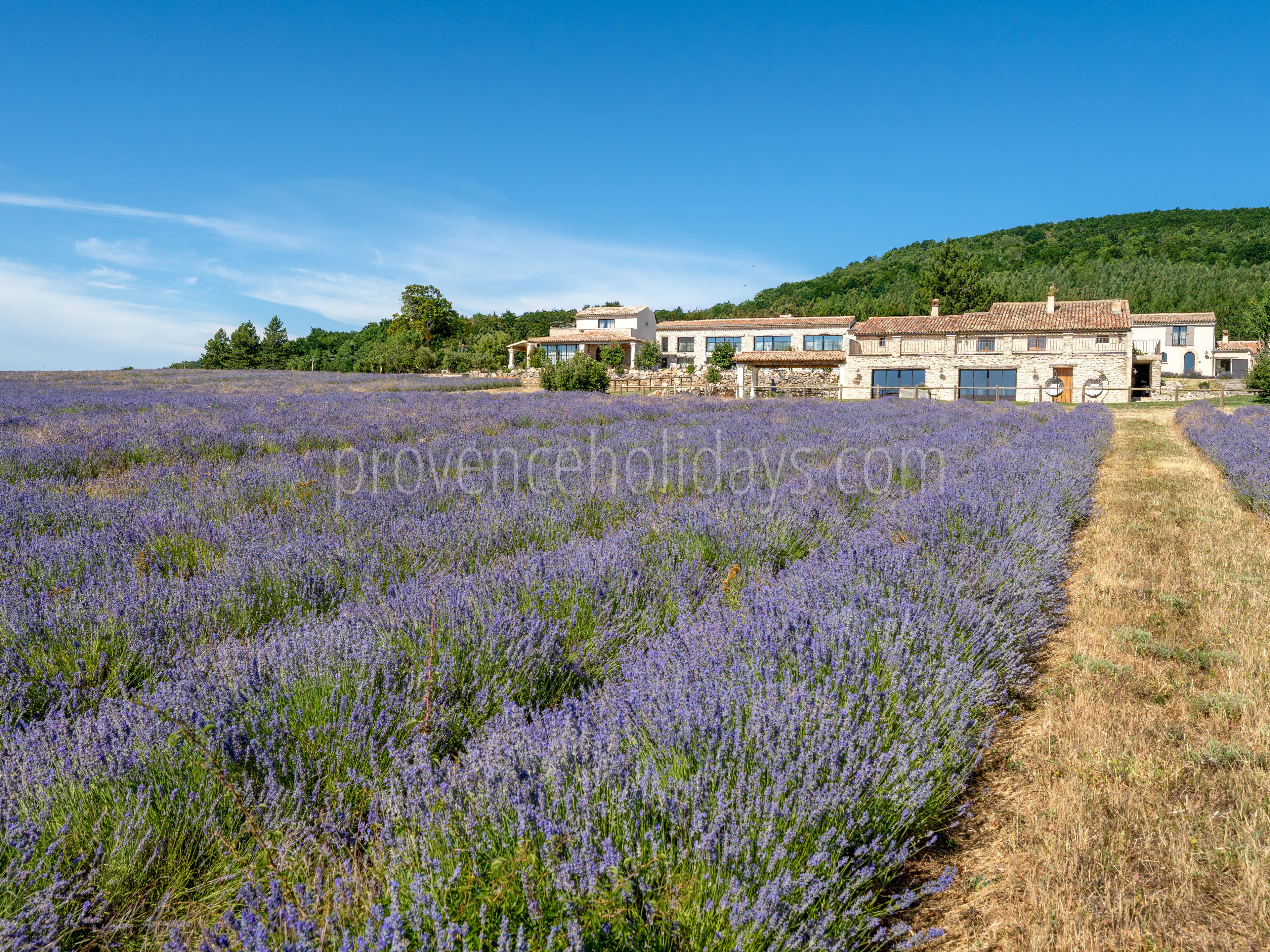 4 - Domaine Château du Bois: Villa: Exterior