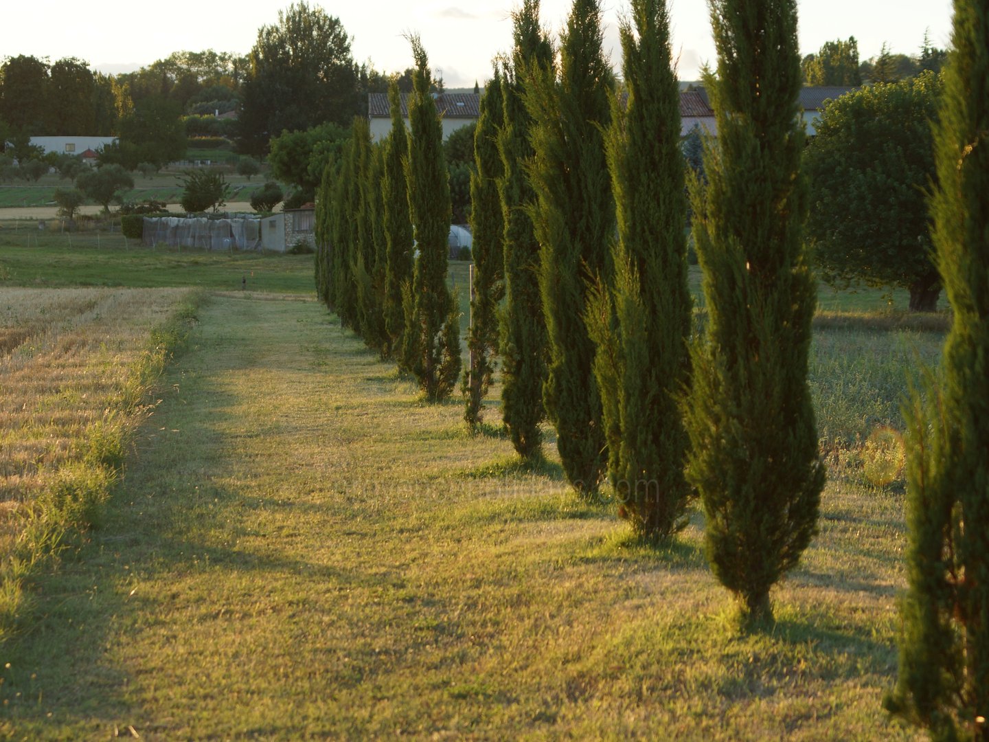 40 - Mas Pasquette: Villa: Exterior