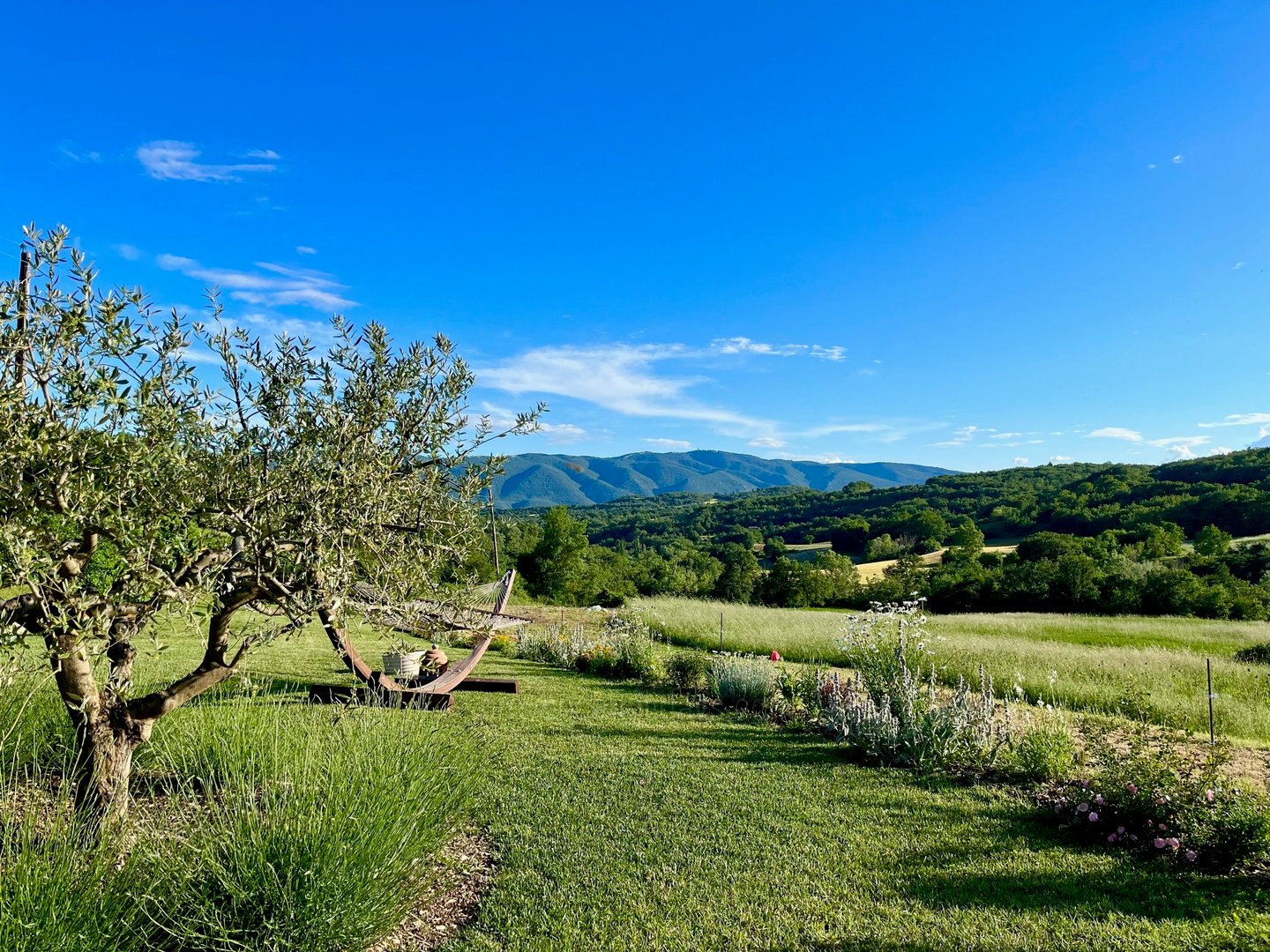 77 - Le Mas du Vallon: Villa: Exterior