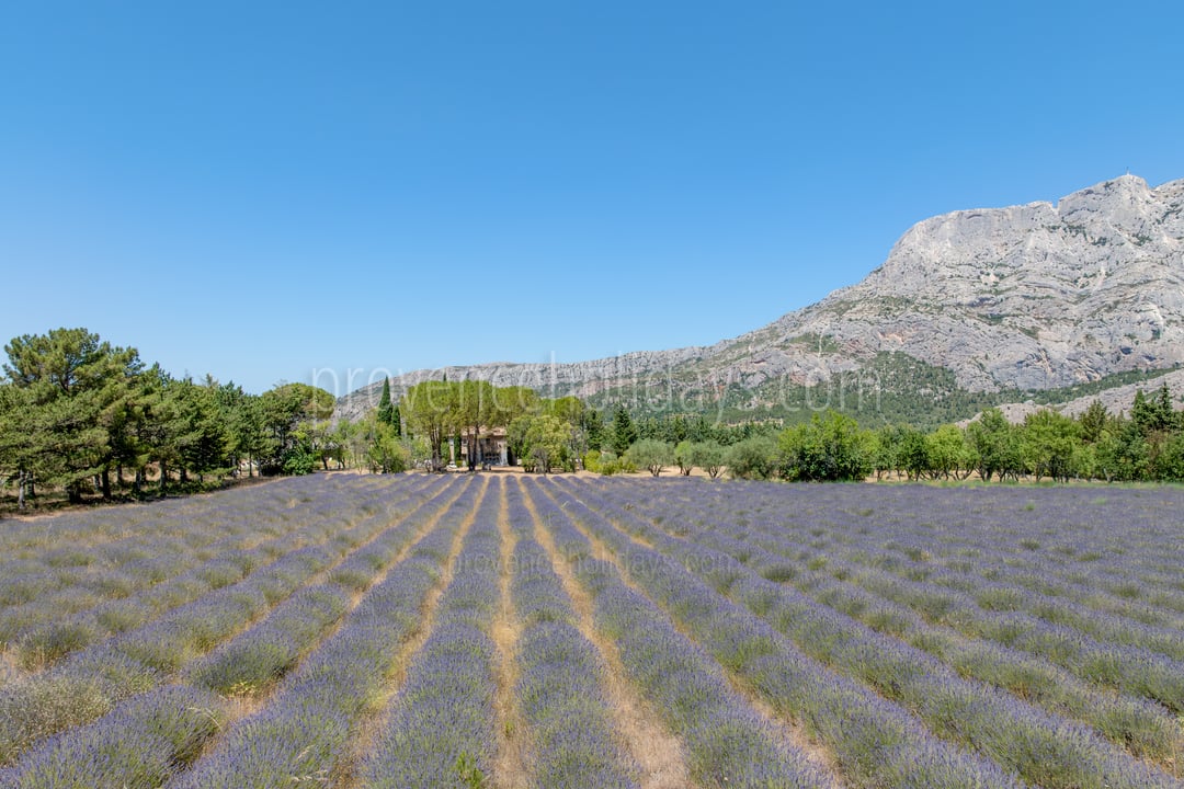 32 - Domaine de la Grande Victoire: Villa: Exterior