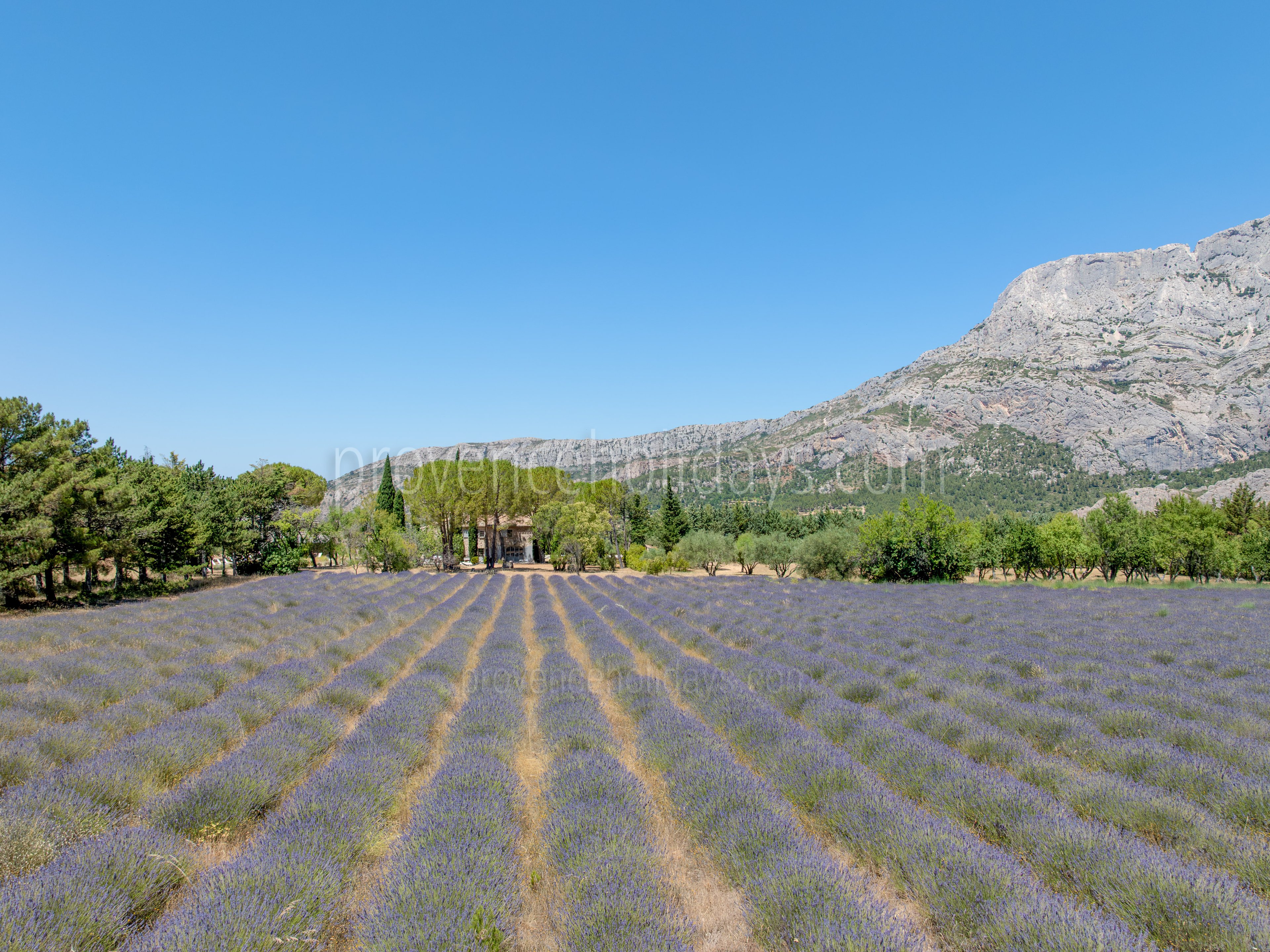 32 - Domaine de la Grande Victoire: Villa: Exterior