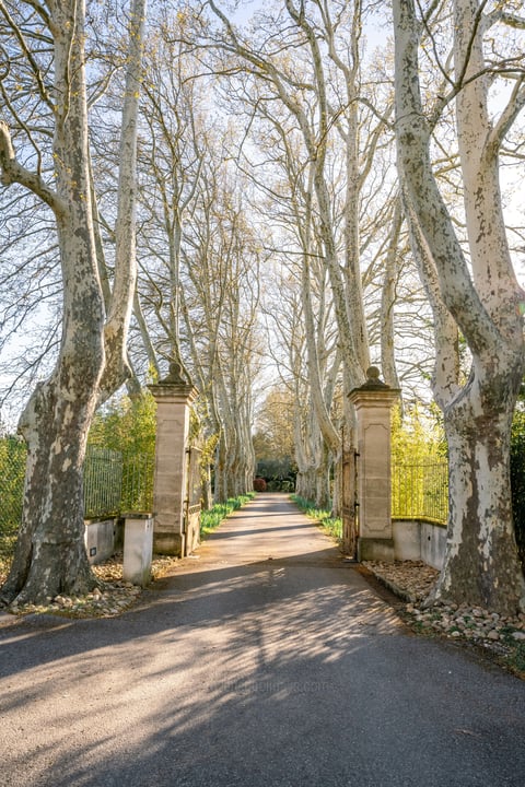 62 - Eden Provençal: Villa: Exterior