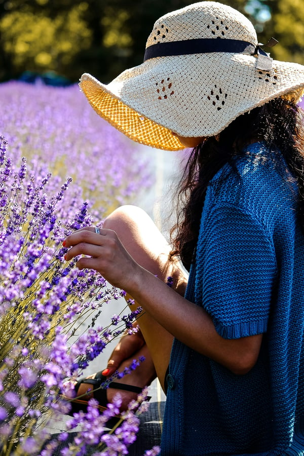 women in lavender