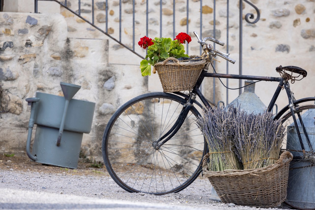Cycling provence