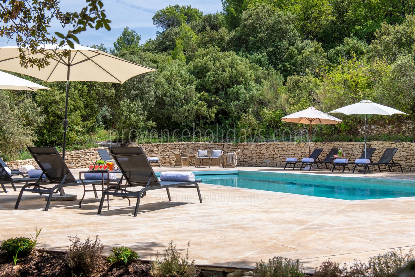 14 - Mas Bonius: Villa: Pool