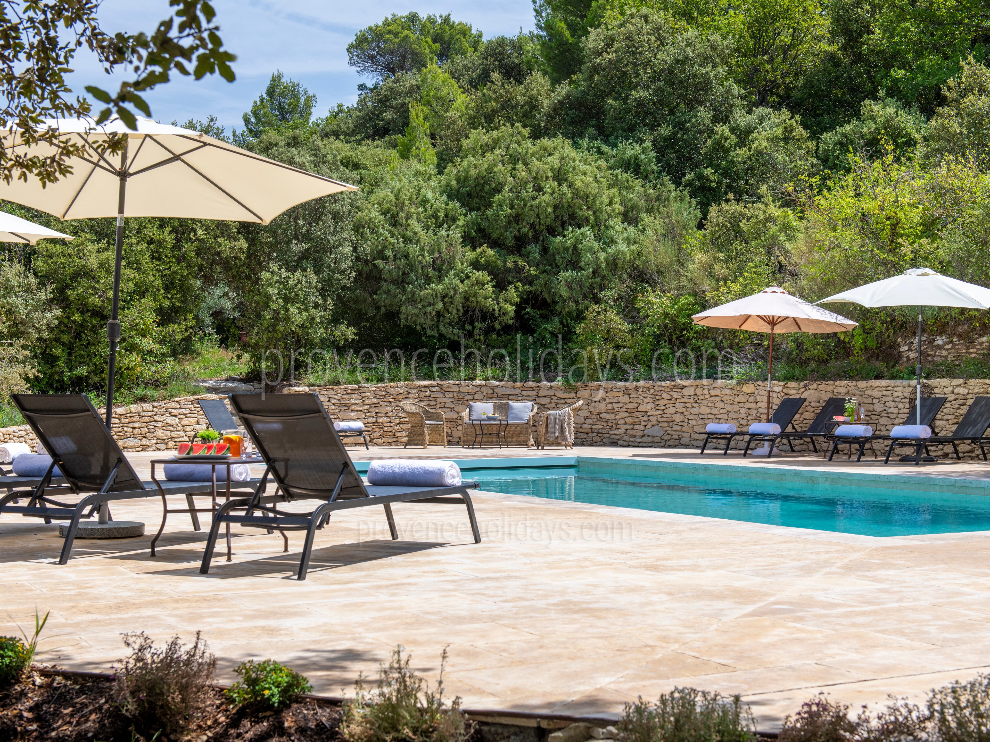 14 - Mas Bonius: Villa: Pool