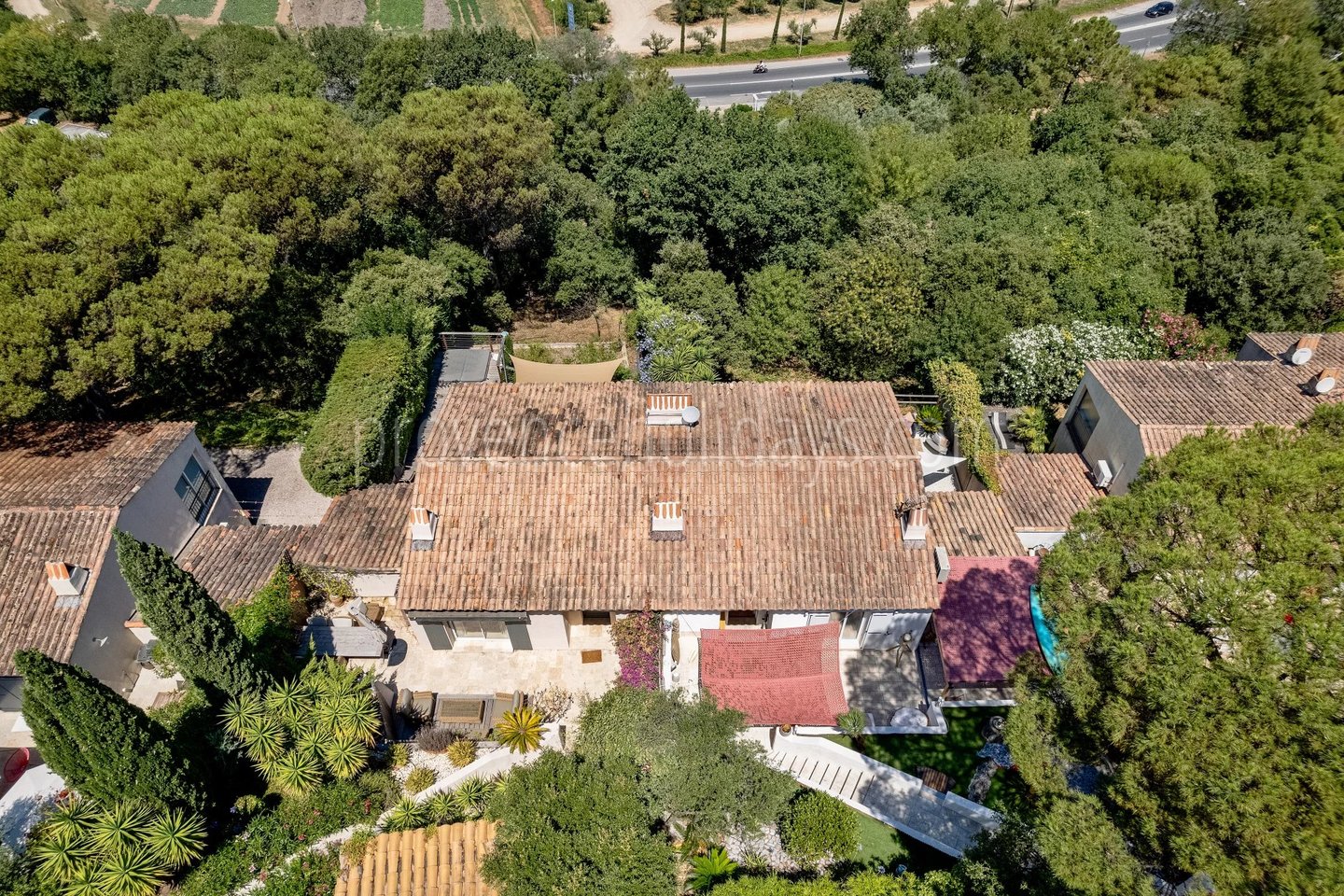 6 - Quiet house in Gassin: Villa: Exterior