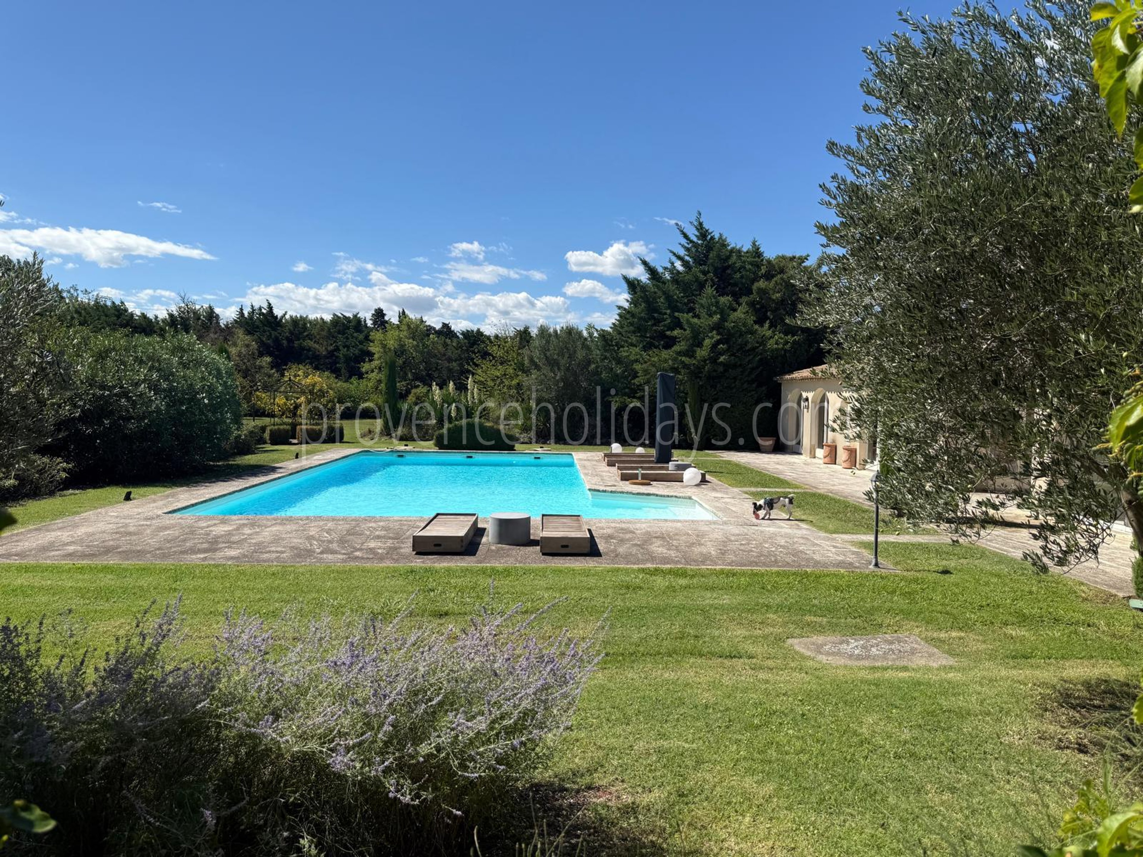 2 - Mas des Barrattes: Villa: Pool