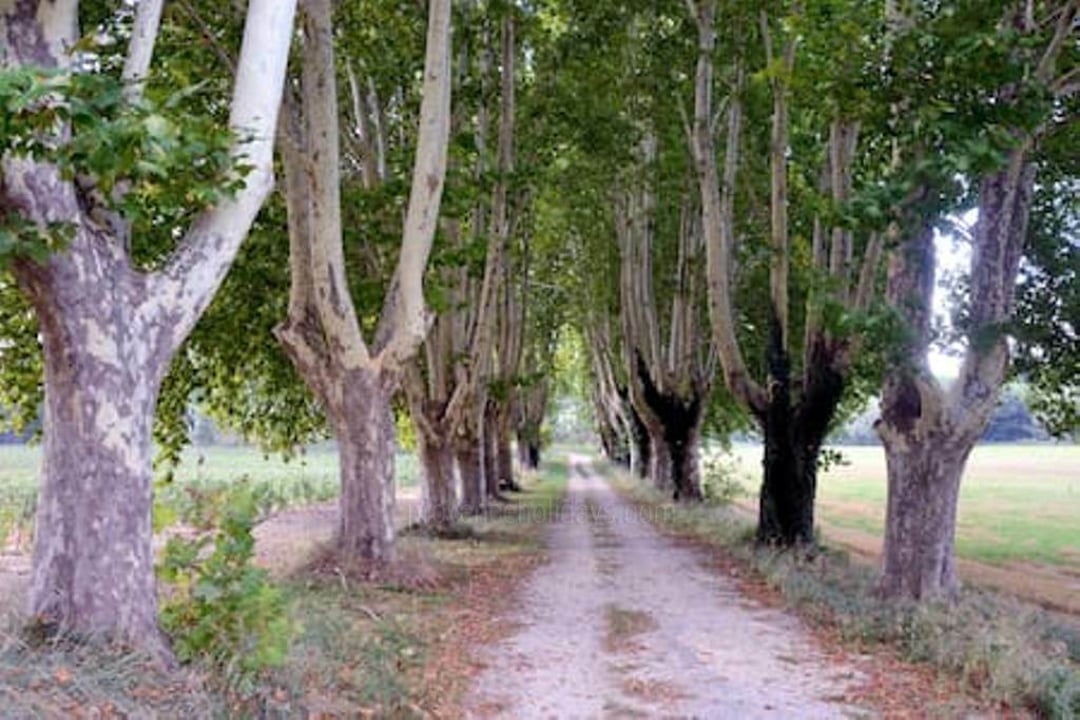 12 - Le Domaine des Vignes: Villa: Exterior