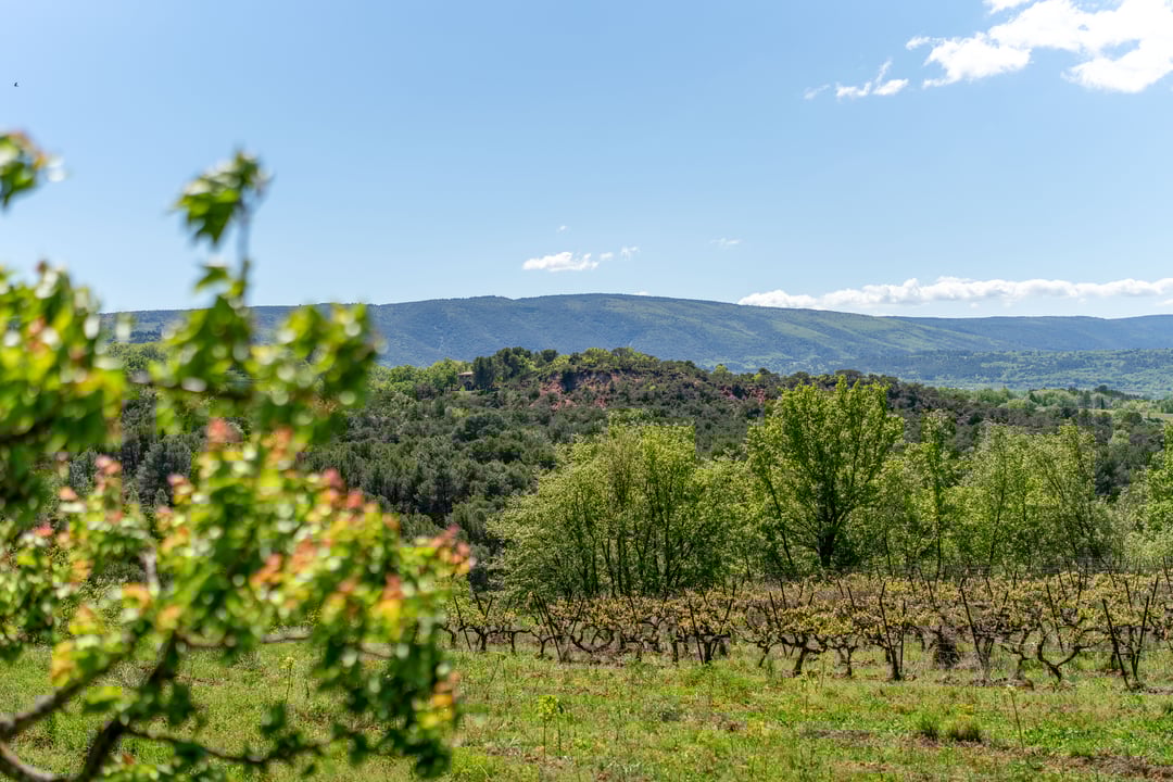59 - Le Mas des Vignes: Villa: Exterior