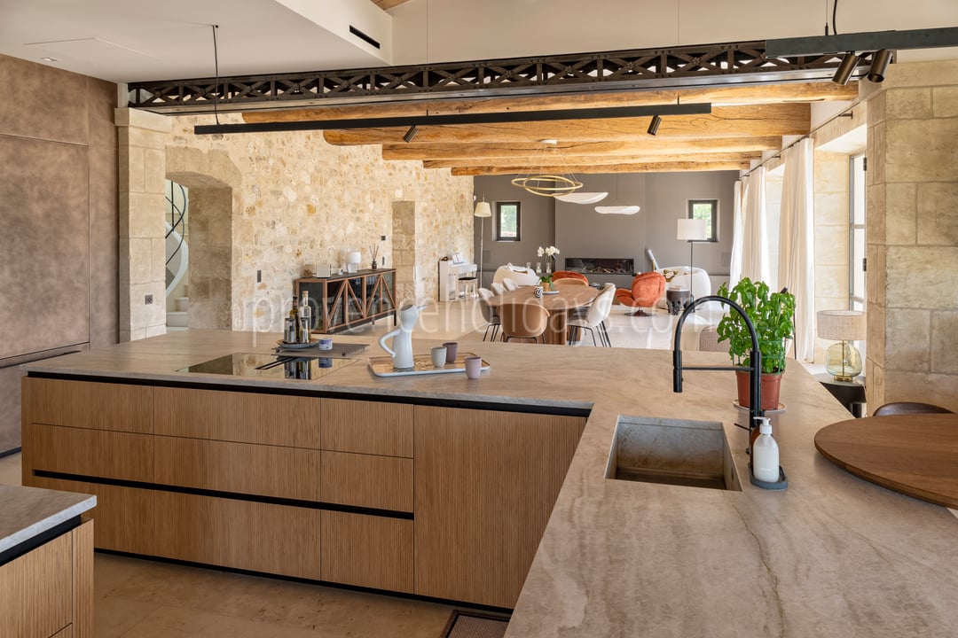 132 - Le Loup des Alpilles: Villa: Interior
