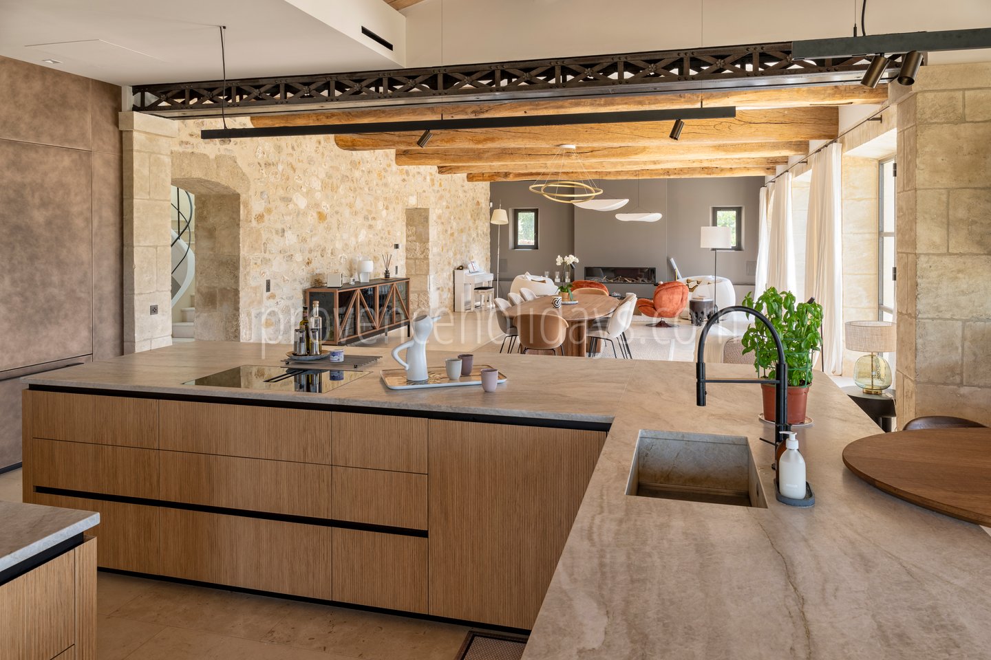 132 - Le Loup des Alpilles: Villa: Interior