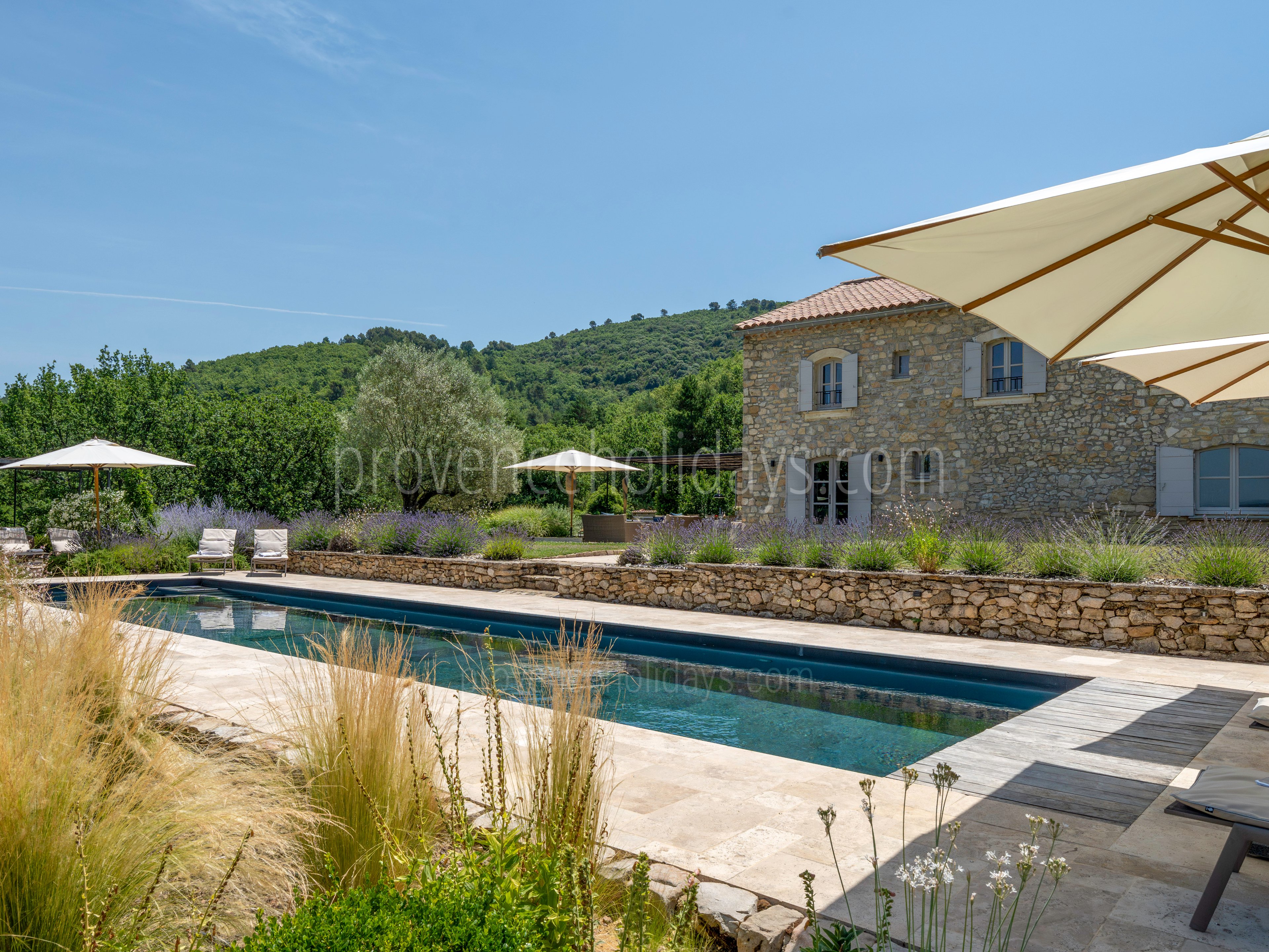 29 - Mas de Saint-Jean: Villa: Pool
