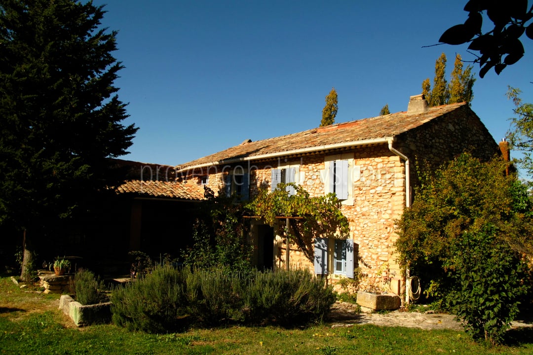 7 - La Ferme du Grand Tilleul: Villa: Exterior
