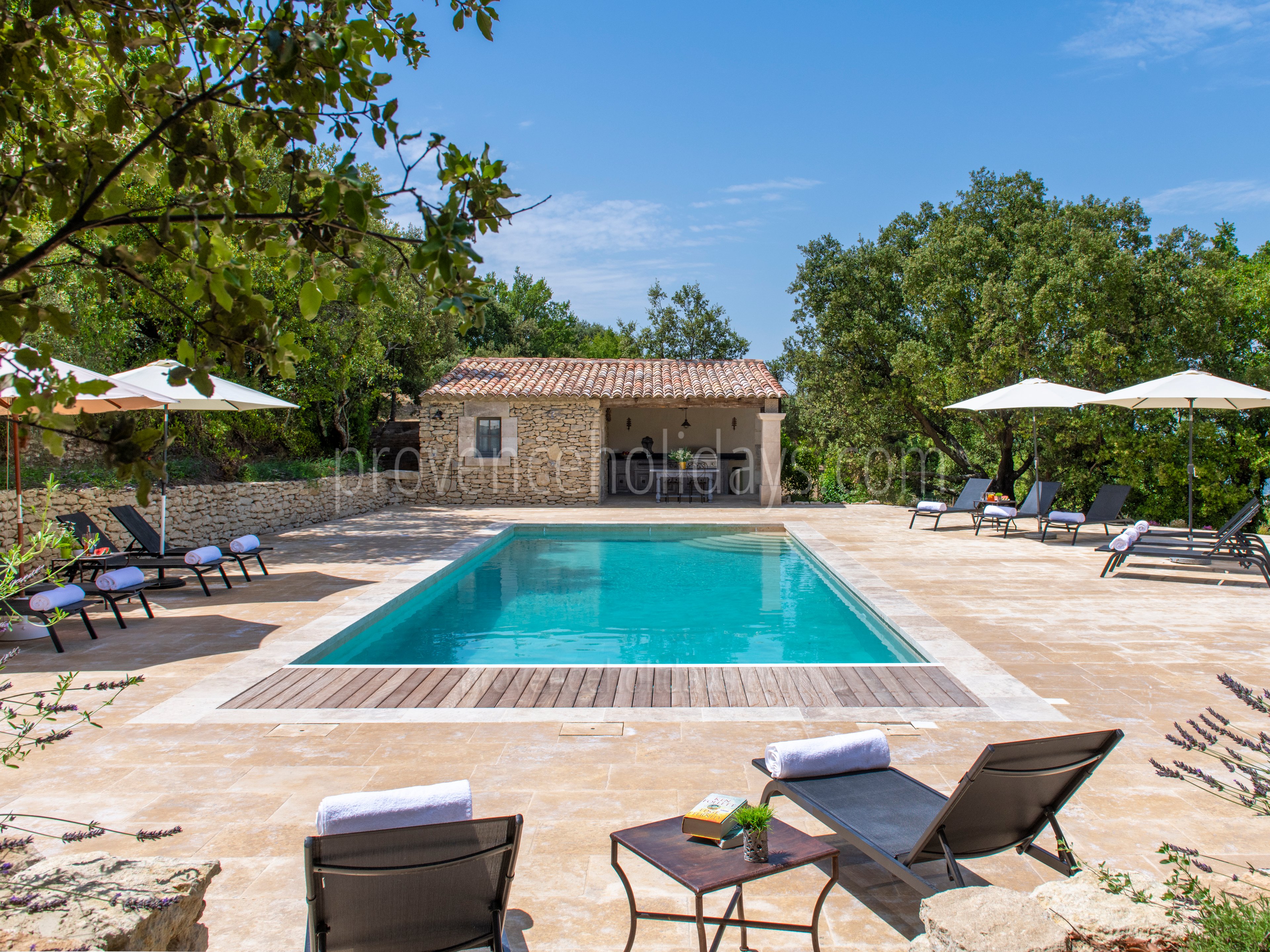 15 - Mas Bonius: Villa: Pool