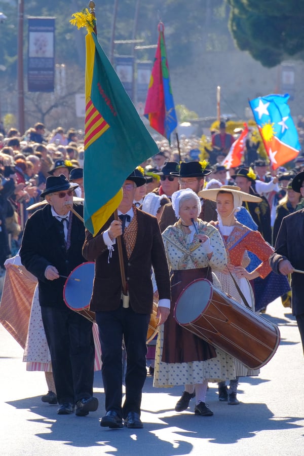 Fête du Mimosa