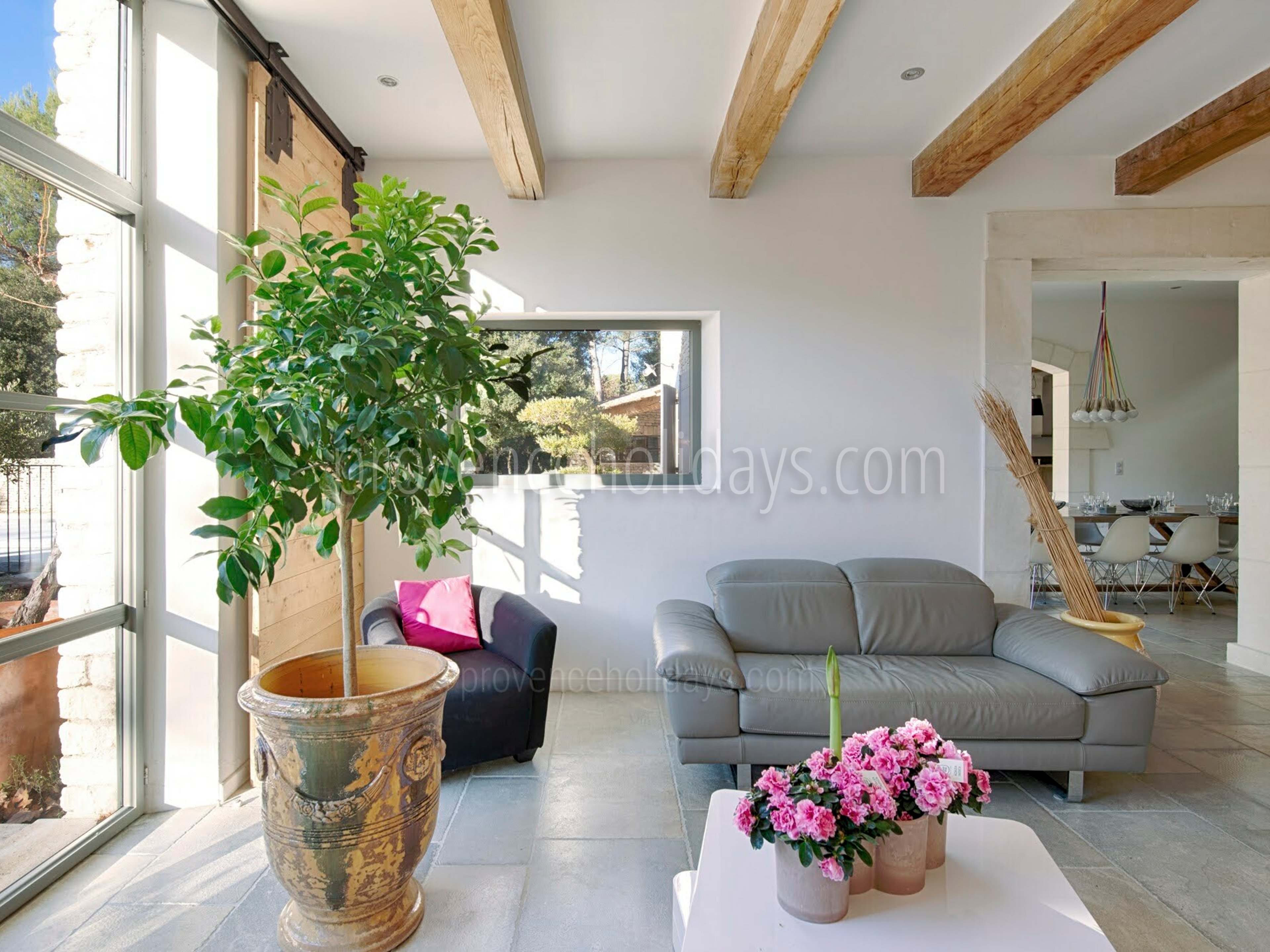 6 - Le Mas de la Pinède: Villa: Interior