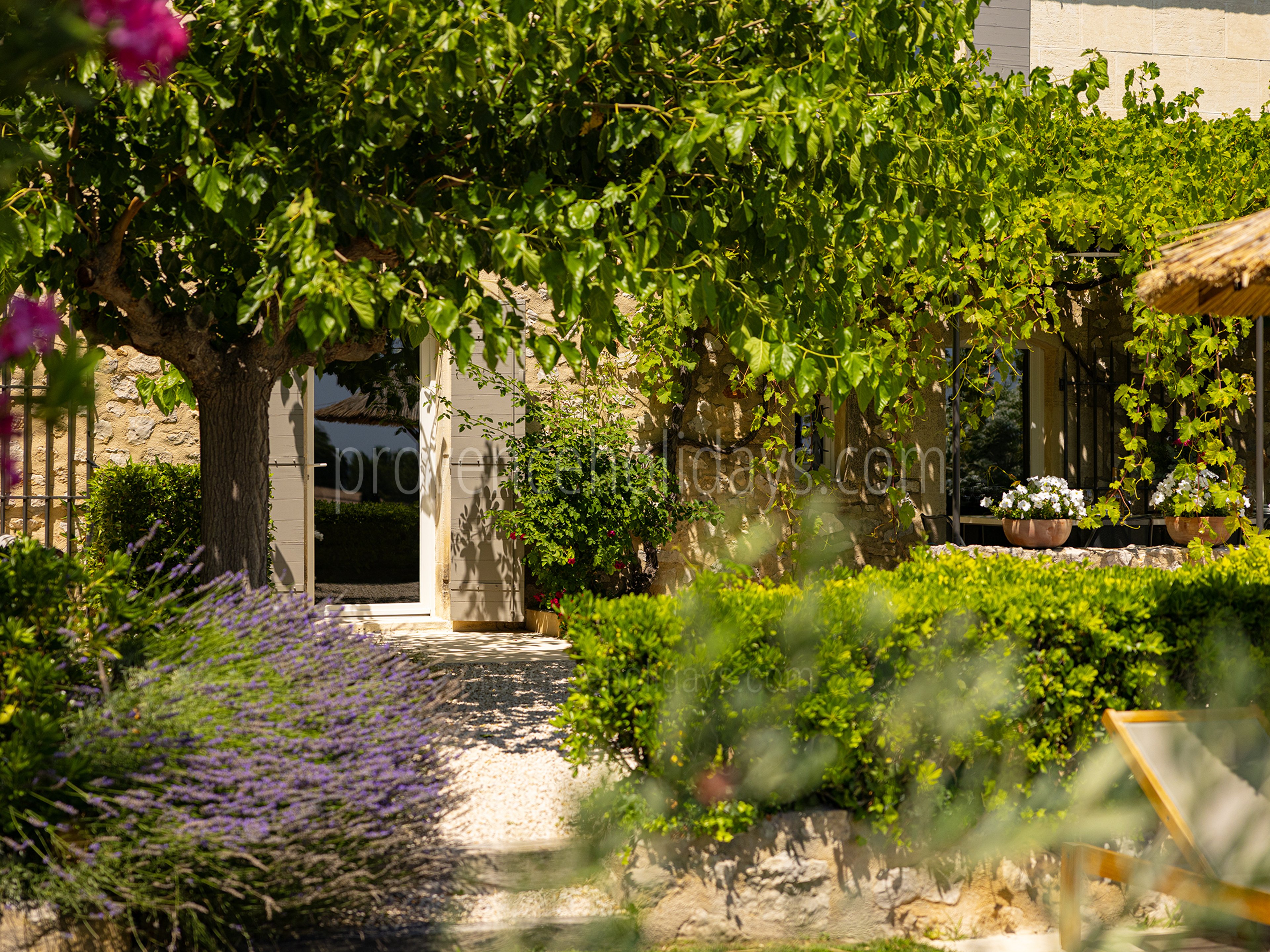 53 - Le Mas des Lauriers: Villa: Exterior