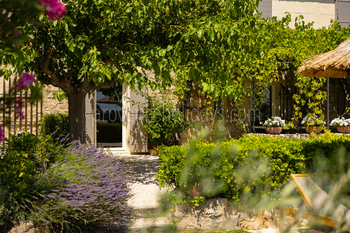 53 - Le Mas des Lauriers: Villa: Exterior
