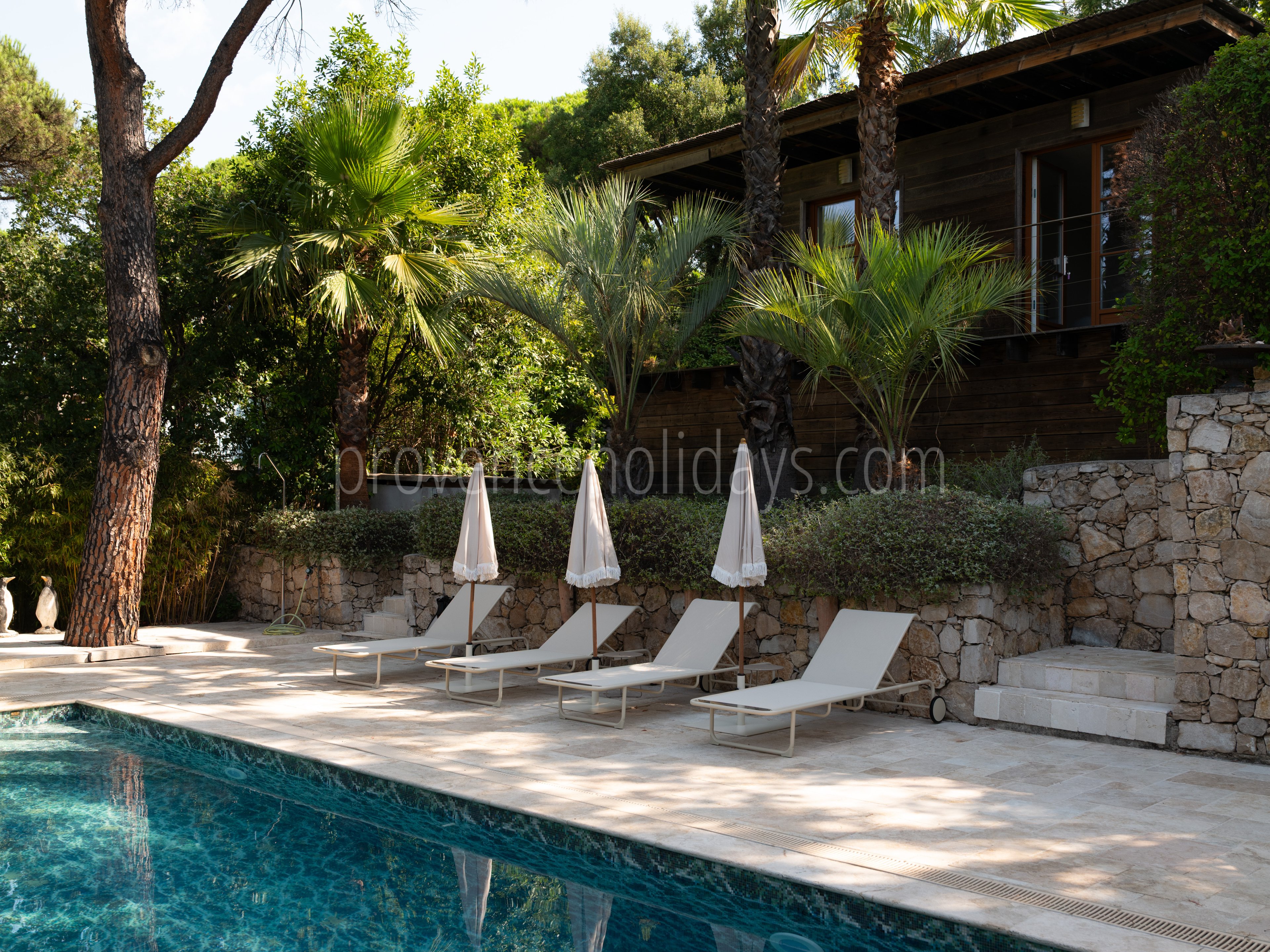 14 - Villa les Pins: Villa: Pool