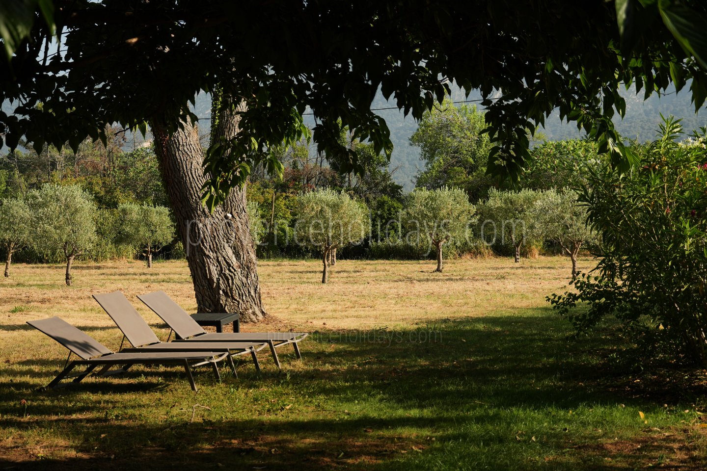 83 - Domaine du Grand Chêne: Villa: Exterior