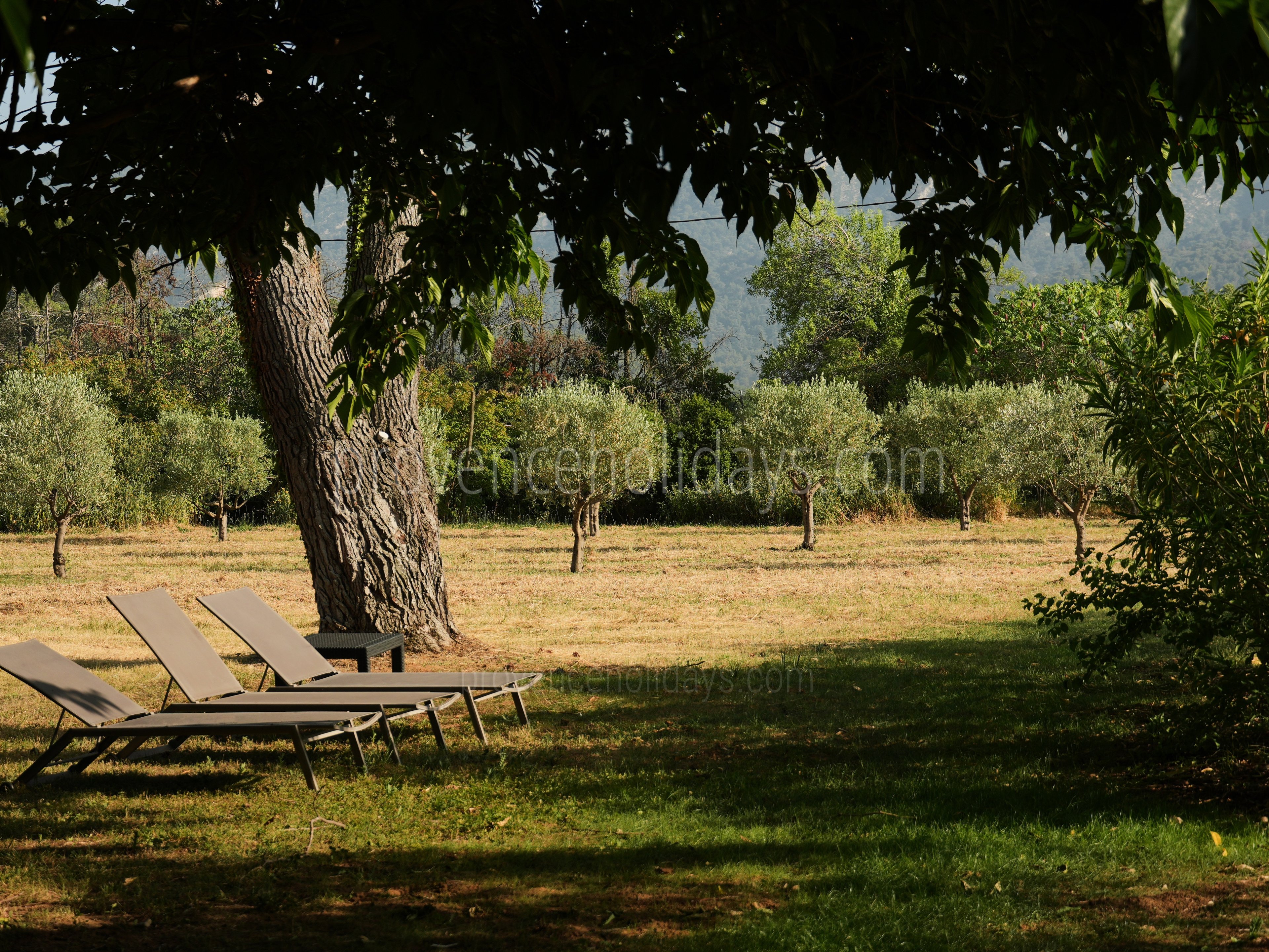 83 - Domaine du Grand Chêne: Villa: Exterior