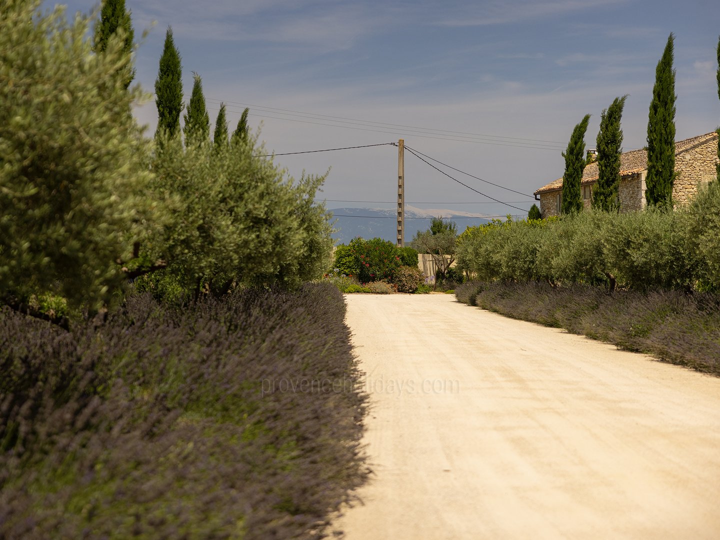 46 - Bastide Provençale: Villa: Exterior