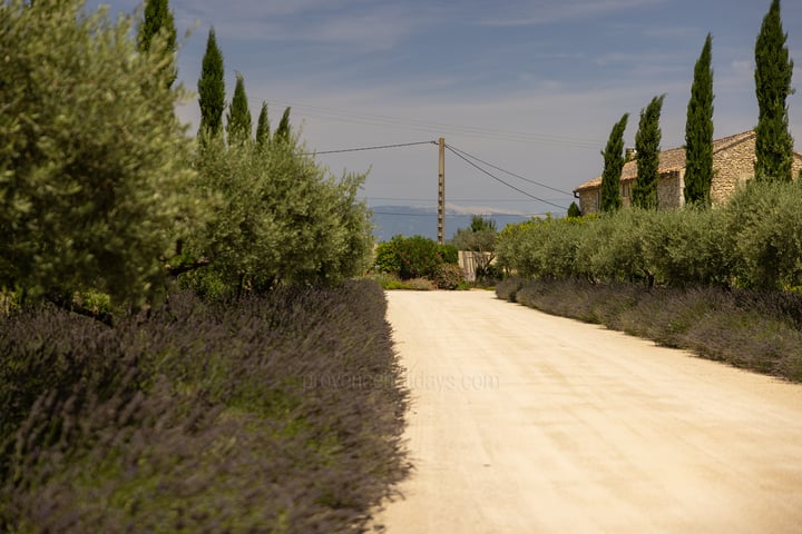 46 - Bastide Provençale: Villa: Exterior