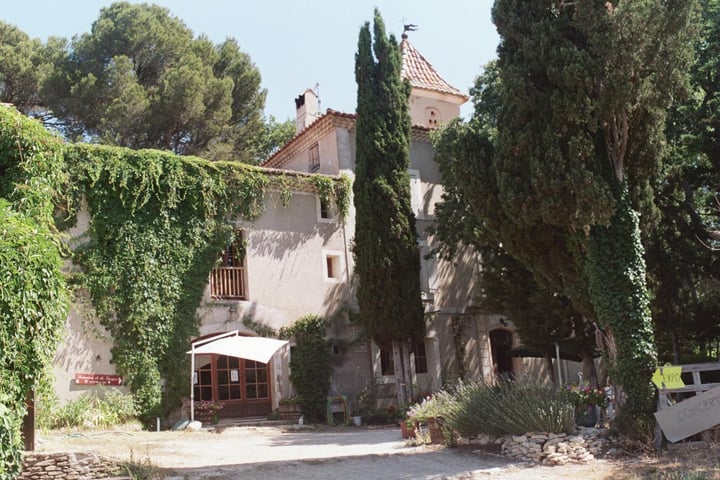 Weinberge im L'Isle-sur-la-Sorgue