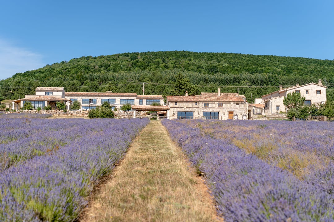 7 - Domaine Château du Bois: Villa: Exterior
