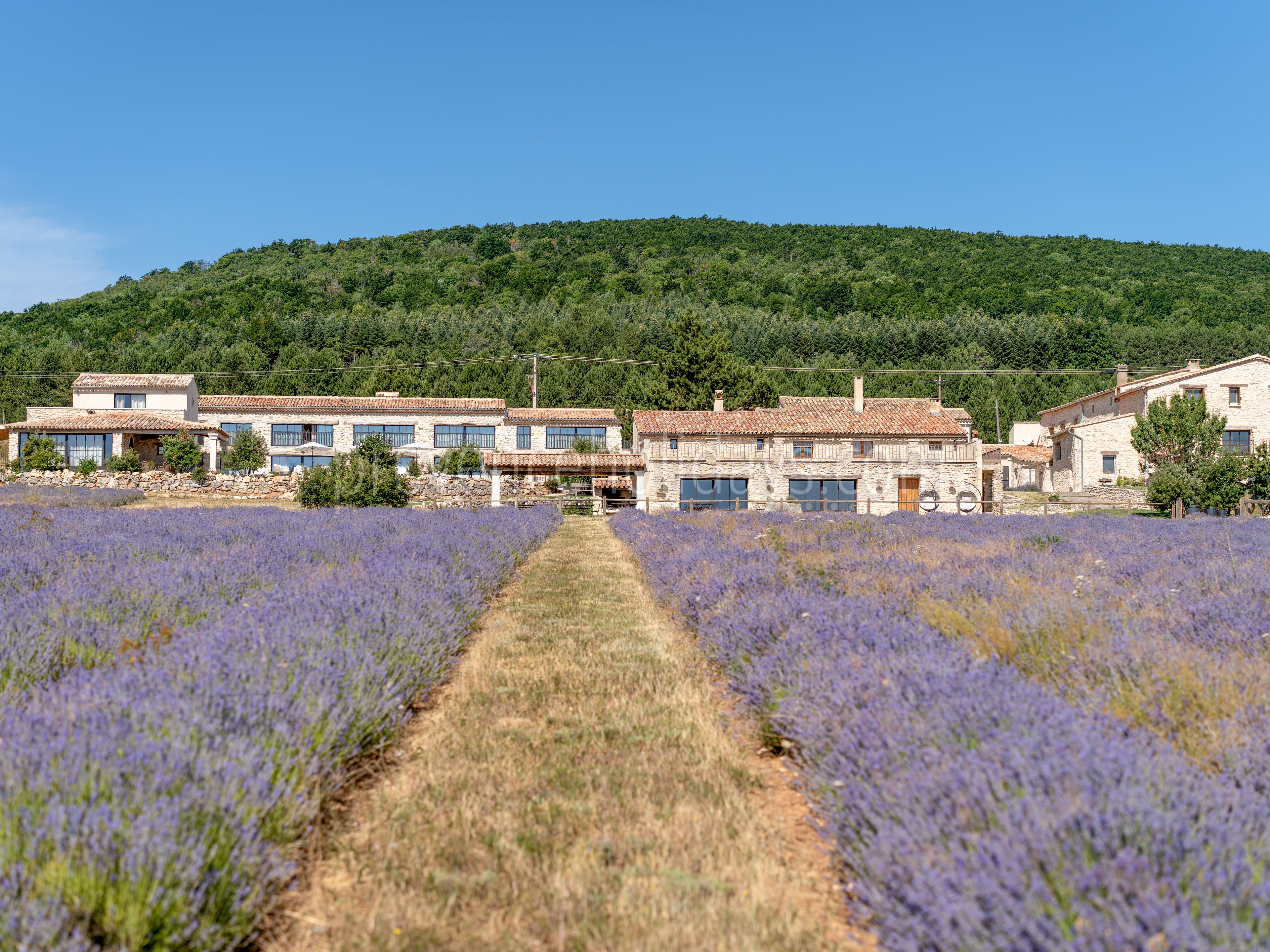 7 - Domaine Château du Bois: Villa: Exterior