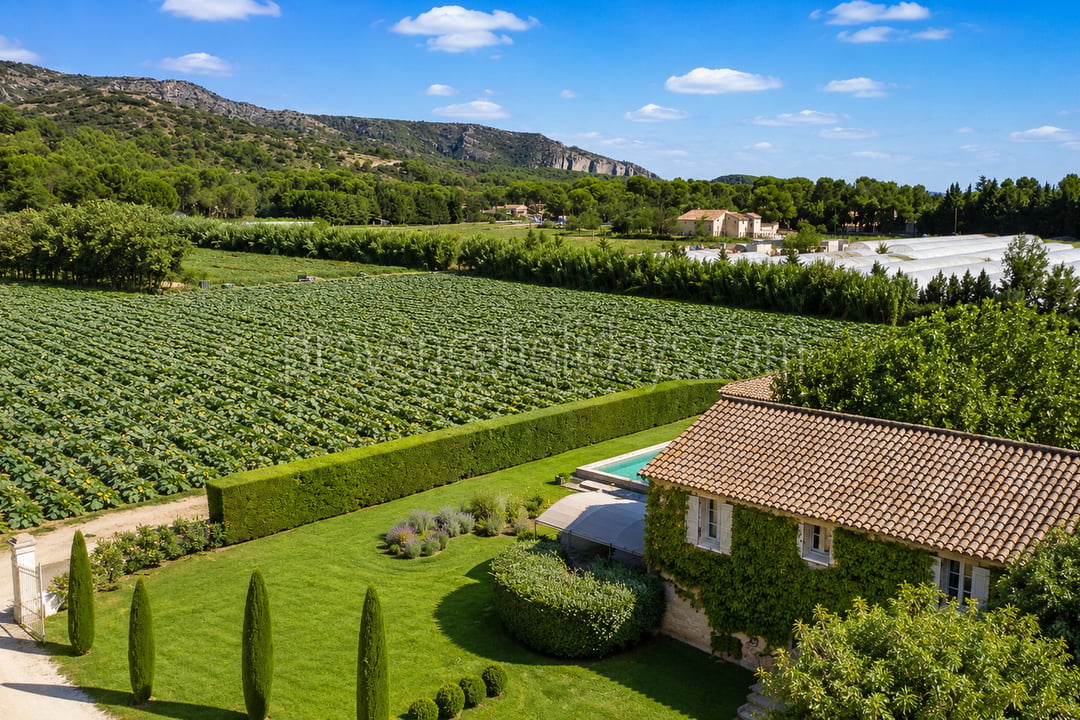 10 - Bauernhaus mit Blick auf den Luberon: Villa: Exterior