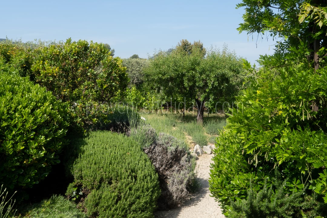 43 - Mas des Aupiho: Villa: Exterior