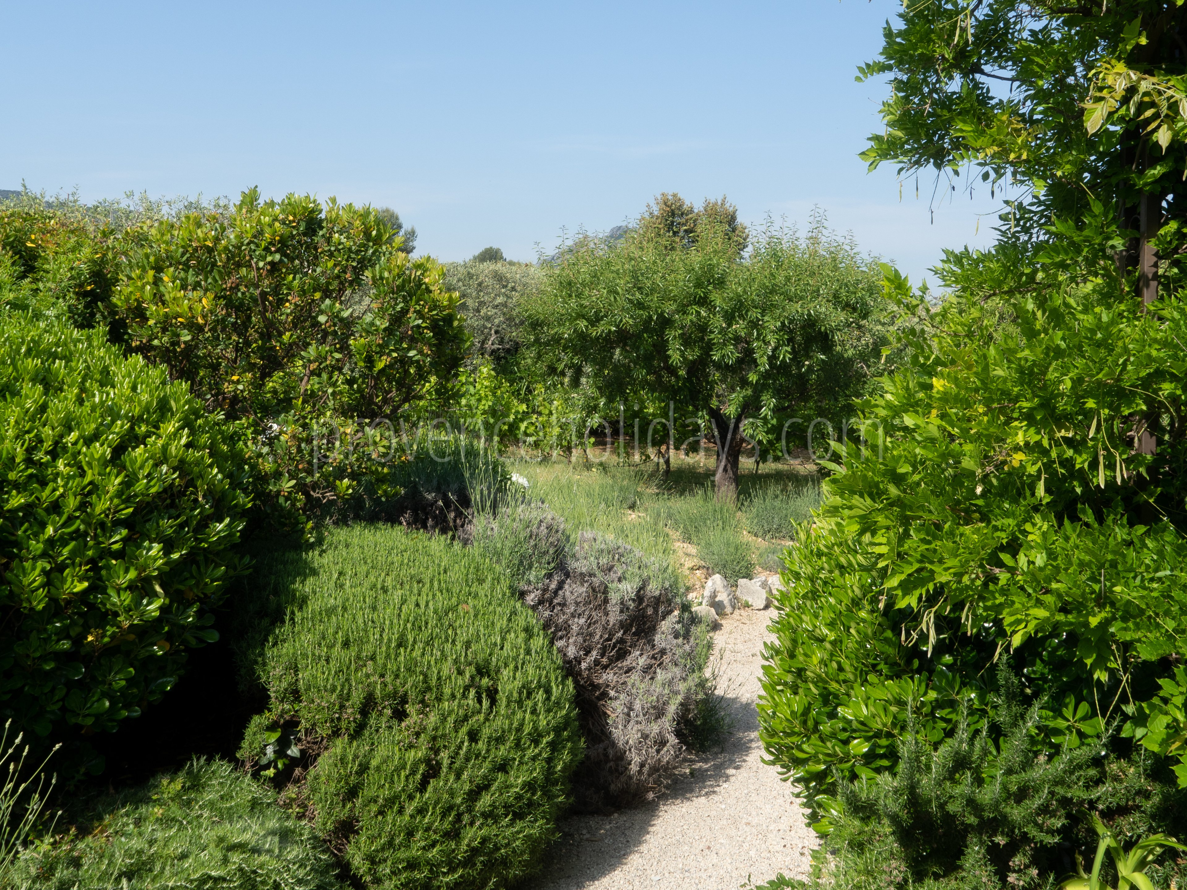 43 - Mas des Aupiho: Villa: Exterior
