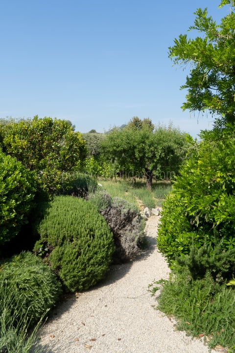 43 - Mas des Aupiho: Villa: Exterior