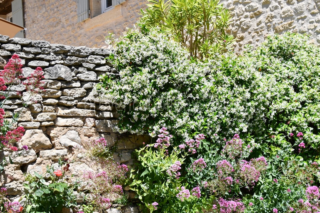 272 - Le Refuge du Soleil: Villa: Exterior