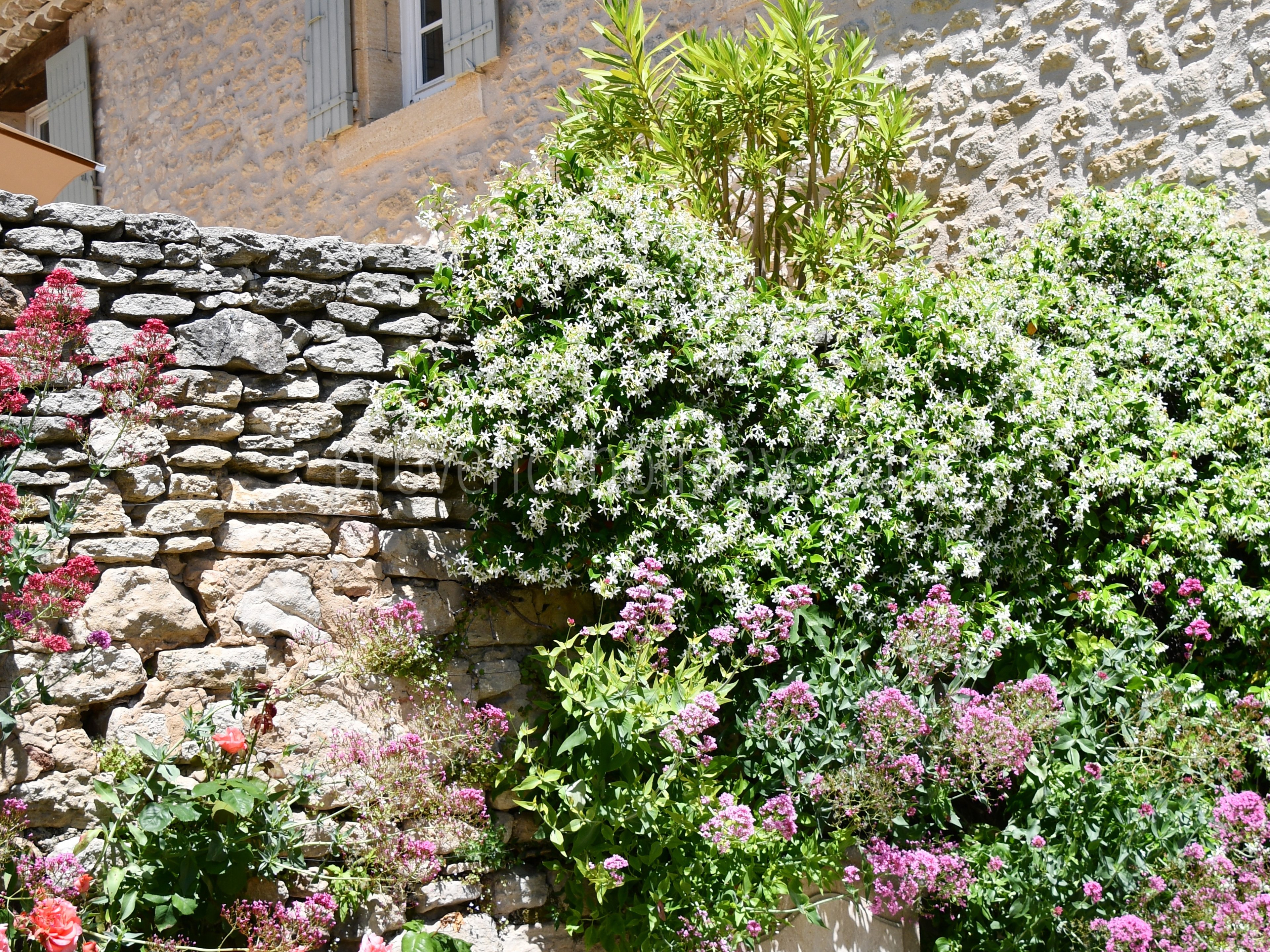 272 - Le Refuge du Soleil: Villa: Exterior