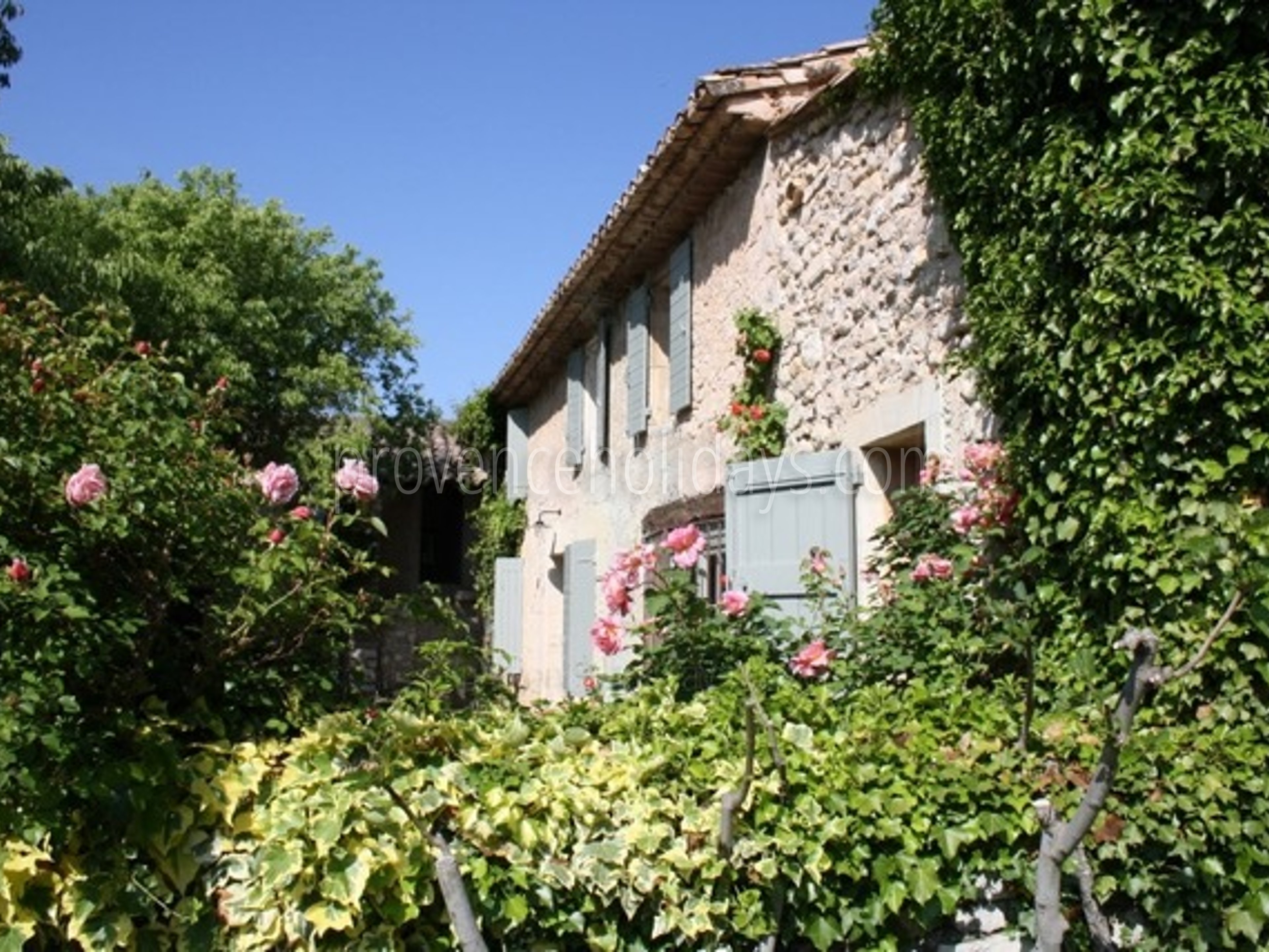 77 - Mas des Lavandes: Villa: Exterior
