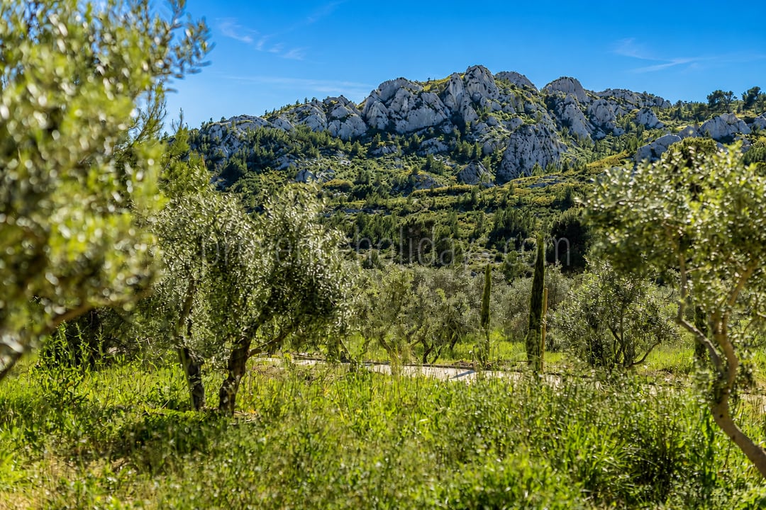 81 - Le Loup des Alpilles: Villa: Exterior
