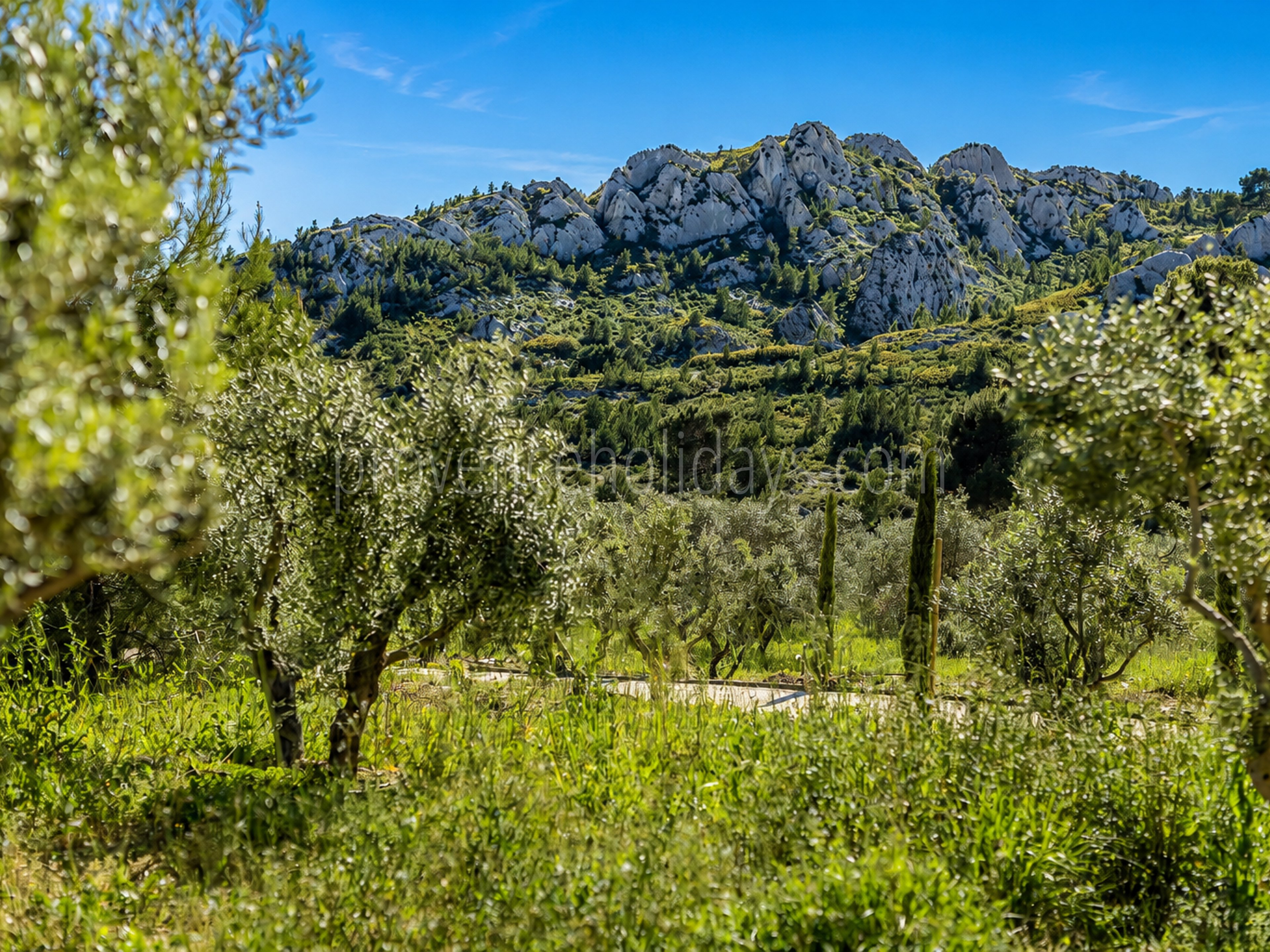 81 - Le Loup des Alpilles: Villa: Exterior