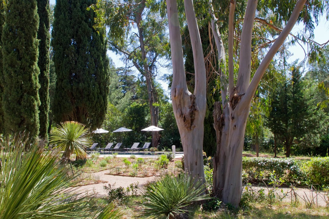 6 - Domaine du Sud: Villa: Exterior