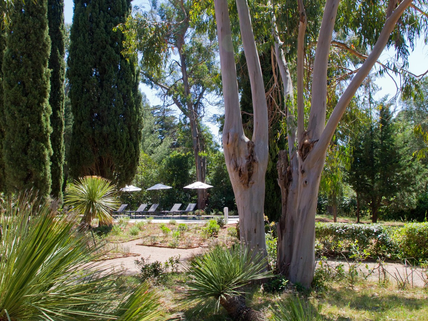 6 - Domaine du Sud: Villa: Exterior