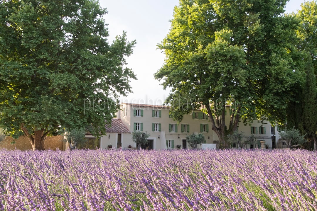 12 - La Bastide Lavande: Villa: Exterior